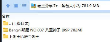 福利姬 Bangni邦尼 NO.037 八重神子【99P+782M】