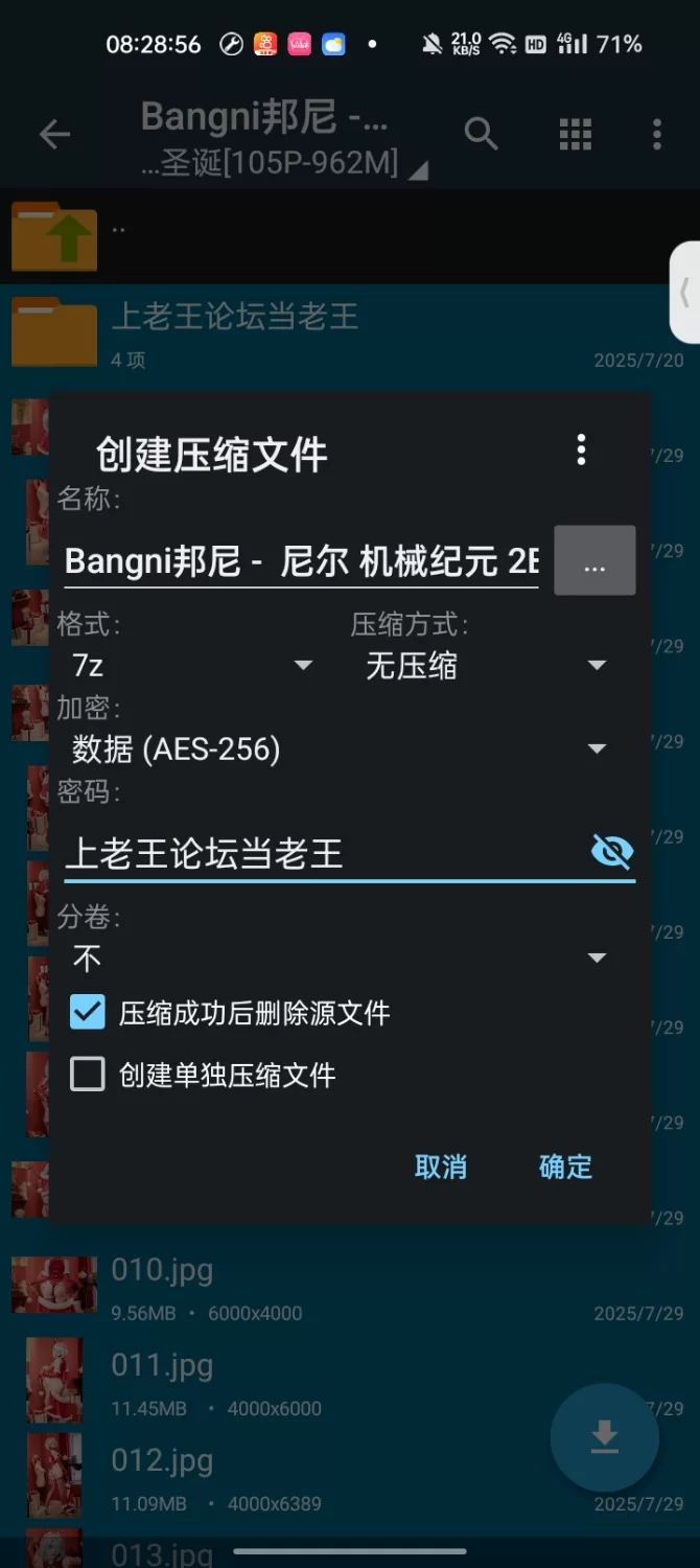 福利姬 Bangni邦尼 - 尼尔 机械纪元 2B 圣诞【105P+962M】