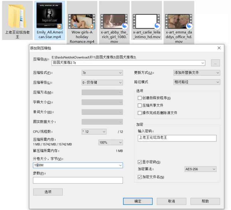 各种玩法 别人电脑硬盘中珍藏多年的欧美嫩B，总有你喜欢的一款【5v+2.12G】
