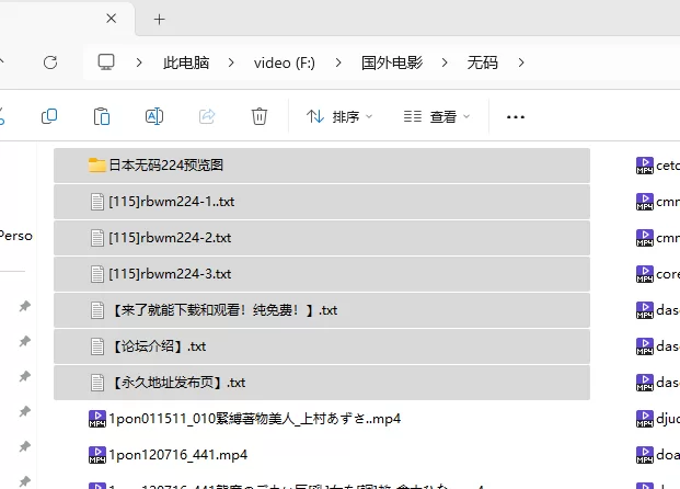 SM 个人收集的日本无码调教视频【224V+1300G】
