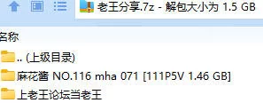 福利姬 麻花酱 NO.116 mha 071合集【111P5V+1.46GB】