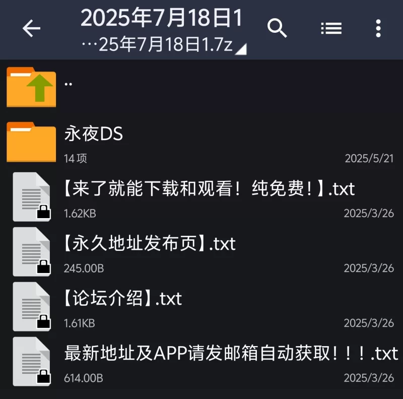 合集 群 P 拳交 足交 逼里打飞机 永夜 DS 自购合集 较重口【14v+1.28G】