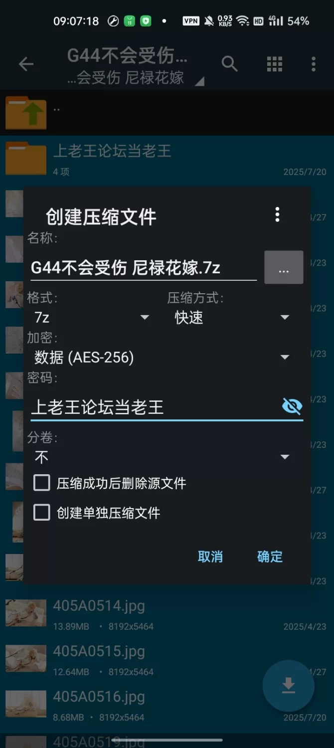 国产coser G44不会受伤 尼禄花嫁【43P+458M】