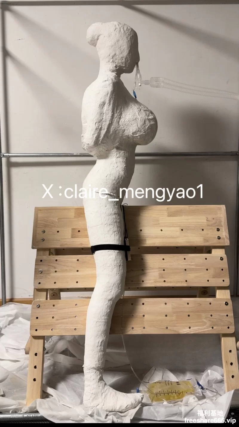 其他 国产cc极限郊狼电击放置 炮击 导尿 高潮控制 排泄控制1G【1+1G】