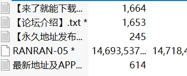 合集 冉冉学姐合集-5【10v+13.71g】