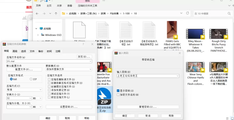 合集 P站打包小合集10【10v+1.61g】