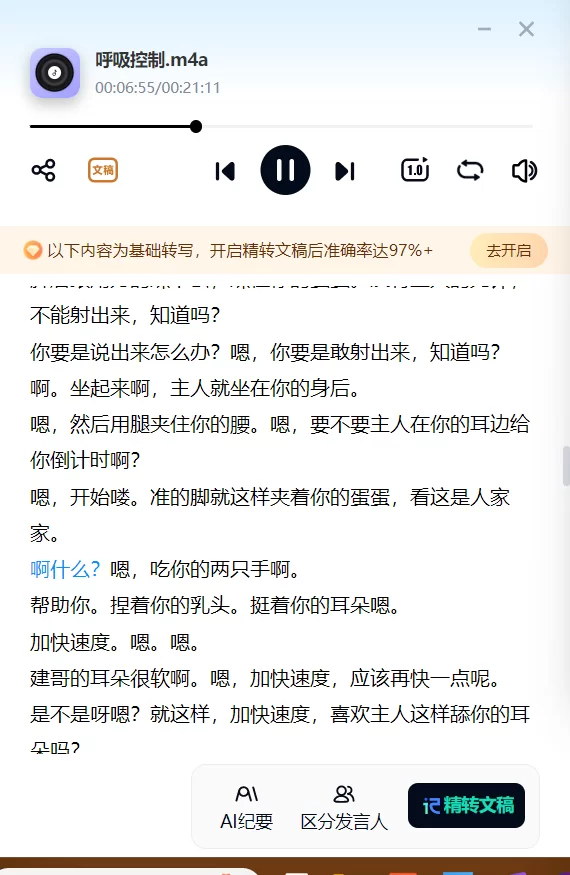 ASMR [asmr]月一姐姐音频合集【57A+1.12g】
