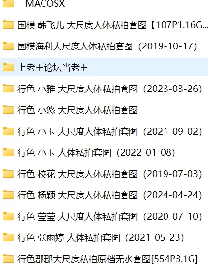 国产模特 行色x9+国模x2 评论选图小合集【11+8.21g】
