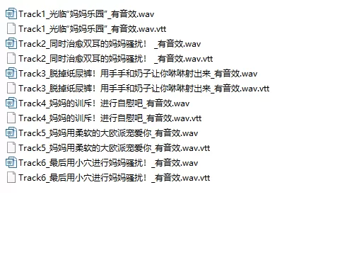 ASMR [简中]JKx2宠爱疲惫的你，轮流与你进行极致的甜甜蜜爱爱【6V+2.07G】