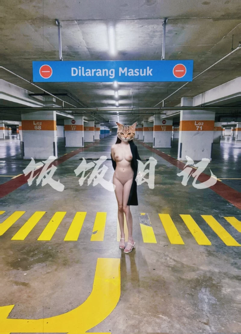 美女御姐 户外野战露出『饭饭日记』色色小狗在停车场被Daddy操坏了【8v+62p+116m】