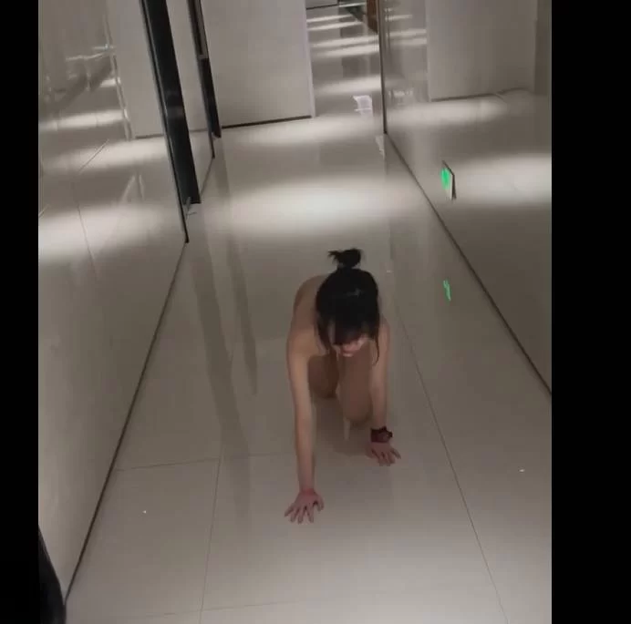 自拍 电梯门前做爱给大妈整的不知所措了！极限露出小合集【7V+1.23G】