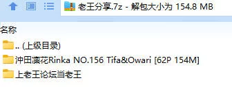 福利姬 沖田凜花Rinka NO.156 Tifa&Owari【62P+154M】