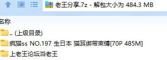 福利姬 疯猫ss NO.197 生日本 猫耳绑带束缚【70P+485M】