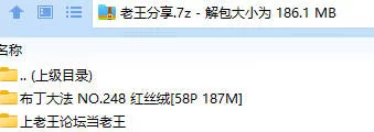福利姬 布丁大法 NO.248 红丝绒【58P+187M】