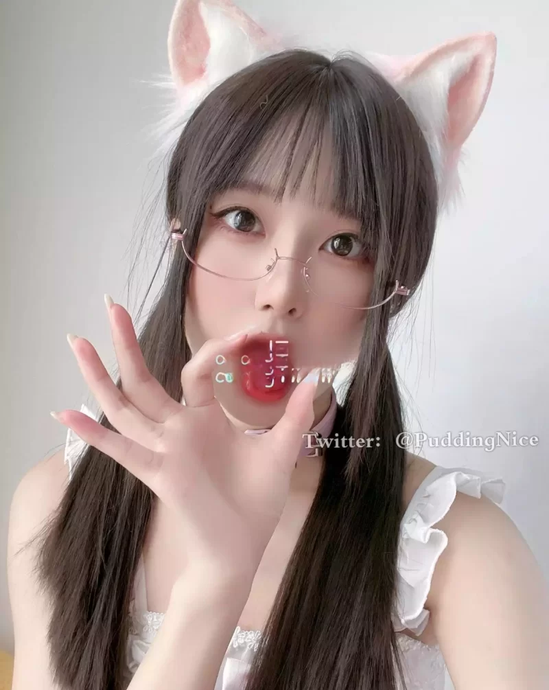 国产coser 布丁大法(我是一只啾)写真合集【npv+59g+】