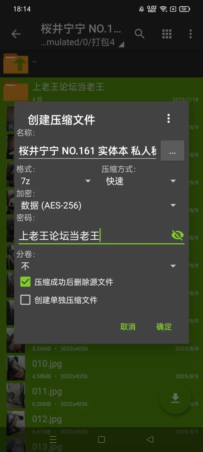 国产coser 桜井宁宁 NO.161 实体本 私人秘书【74P+396M】