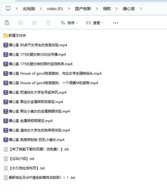 SM 自购 缚心室炮机合集【11v+12.83G】