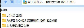 福利姬 九柒喵 NO.027 玉足 琉璃川椿【[66P+829MB】