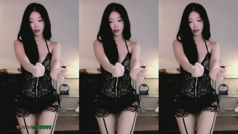 日韩主播 [自录]韩国美女主播小景甜BJ하니니哈妮妮近期热舞小合集【15v+2g】