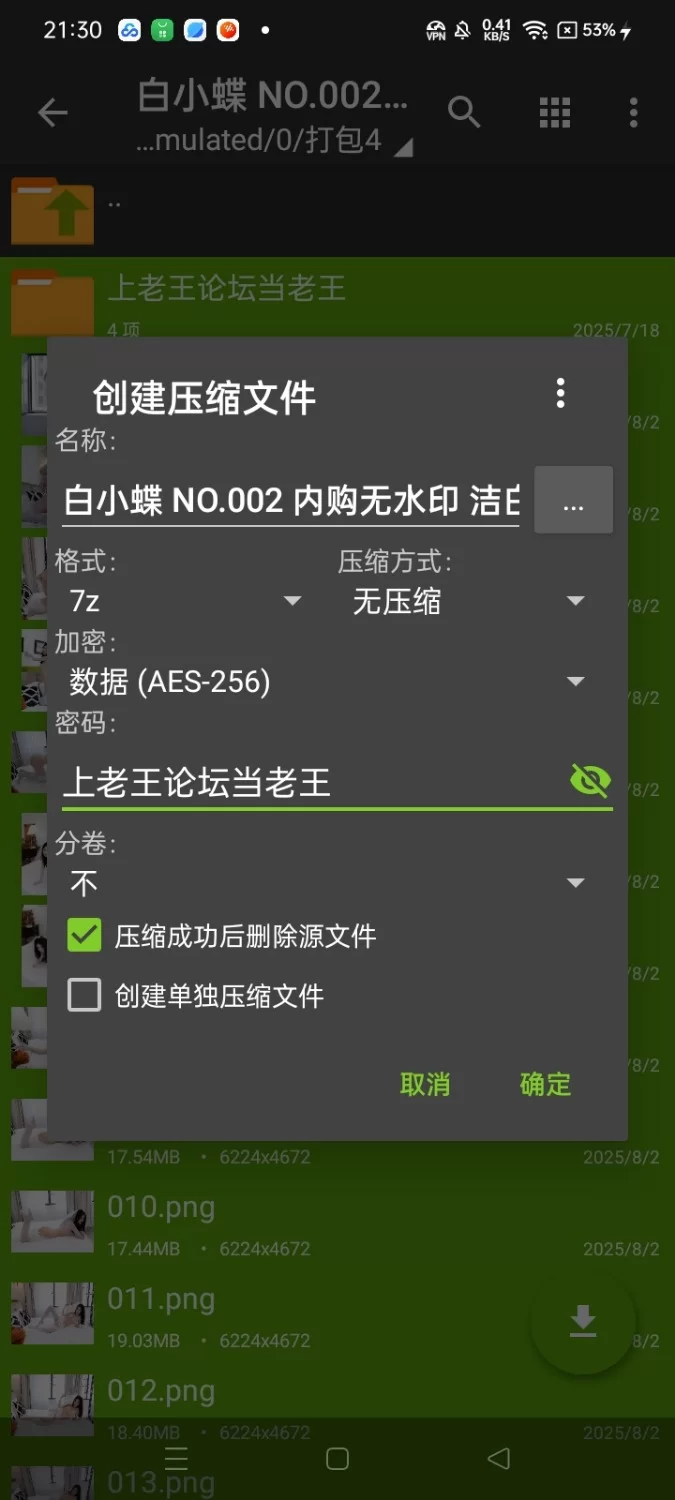 国产coser 白小蝶 NO.002 内购无水印 洁白婚纱 [102P 1.83GB]【102P+1.83G】