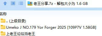 福利姬 Umeko J NO.179 Yor Forger 2025 间谍过家家 约尔【109P7V+1.58GB】