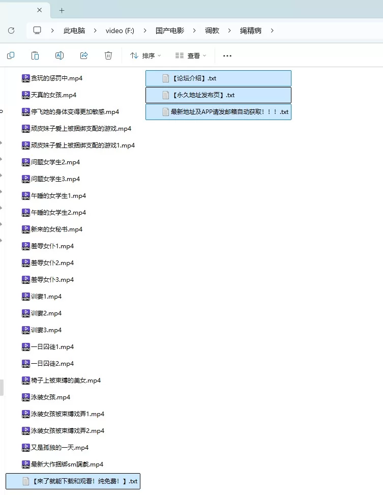 SM 自购 绳精病无码合集【94V+83.66G】