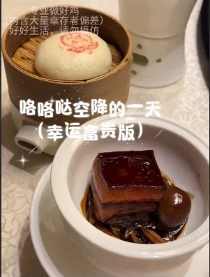 福利姬 沉浸式体验当咯咯哒的一天vlog【11V+365M】