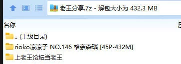 福利姬 rioko凉凉子 NO.146 格奈森瑙【45P+432M】