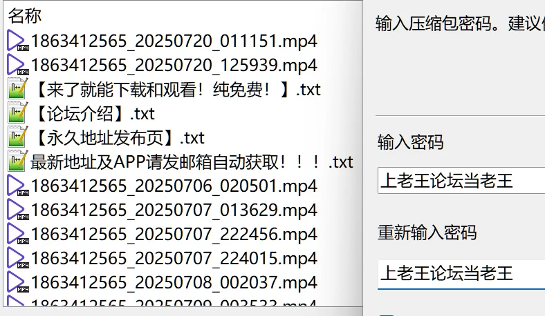 合集 07萝莉双马尾直播啪啪【29V+26G】