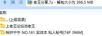 福利姬 桜井宁宁 NO.161 实体本 私人秘书【74P+396M】