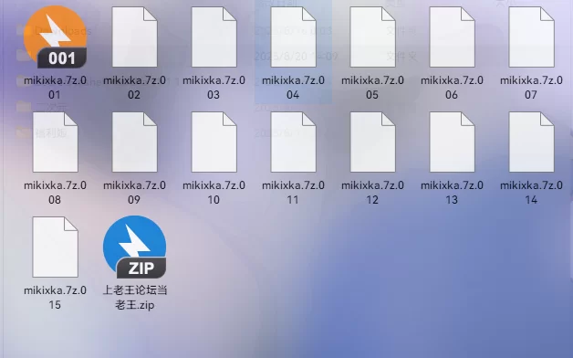 同性类 伪娘mikixka露出【22v+40gb】