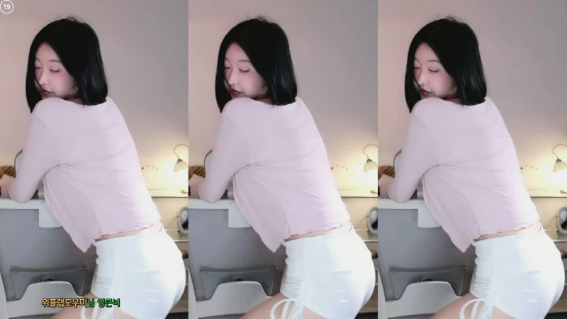 日韩主播 [自录]韩国美女主播小景甜BJ하니니哈妮妮近期热舞小合集【15v+2g】