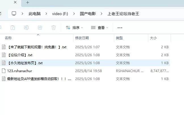 SM 自购 JVID繩縛寫真攝影會 2025年部分合集【9v+8.34G】