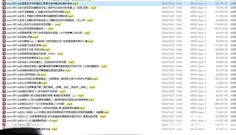 ASMR AMSR资源，B站助眠up主烛灵儿Hikari舰长爱发电贩售音声合集【1+30G】