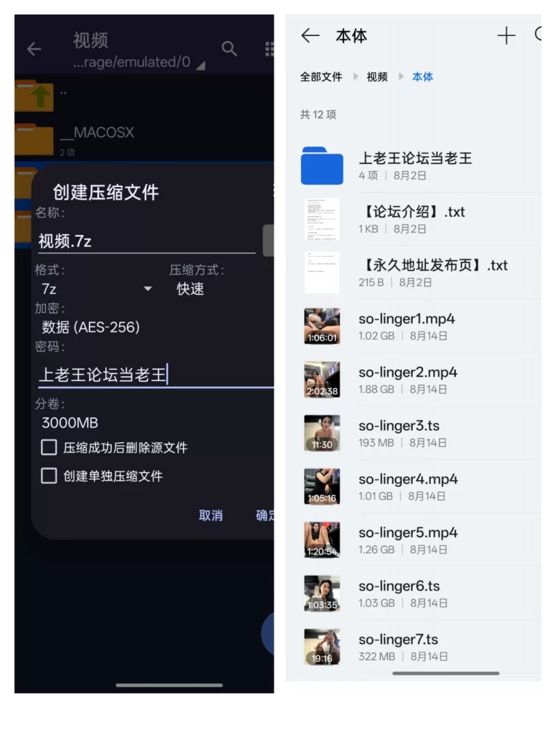 国产主播 [so-linger]尺度全开！在小区地下停车场大黑棒震小穴 高潮不断8月3日-8月8日【27v+19.2g】