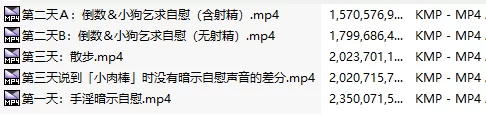 ASMR [汉化音声]冒险的终结正太抖M的你～挑战夜之自慰游戏【1+1.1G】