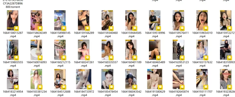 绿帽&换妻 最新抖音风反差婊合集【365V+13.73G】