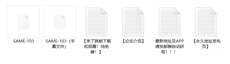 足控腿控 SAME-103 作为饭店小姐的我被要求淫荡接客服务[职业装]【1v+5.82G】