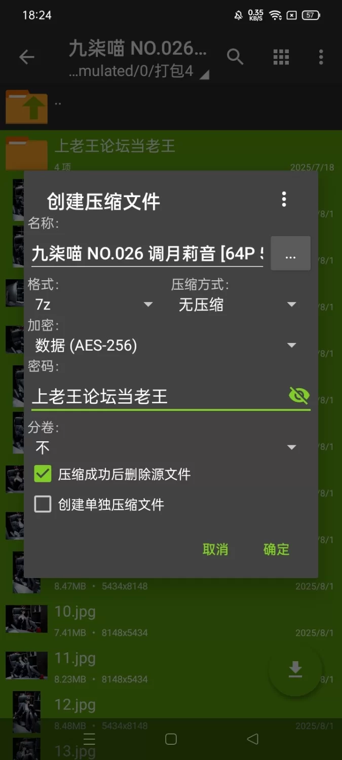 国产coser 九柒喵 NO.026 调月莉音【64P+535M】