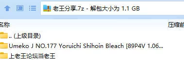 福利姬 Umeko J NO.177 Yoruichi Shihoin Bleach【89P4V+1.06GB】