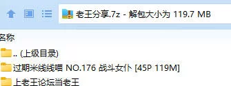 福利姬 过期米线线喵 NO.176 战斗女仆【45P+119M】