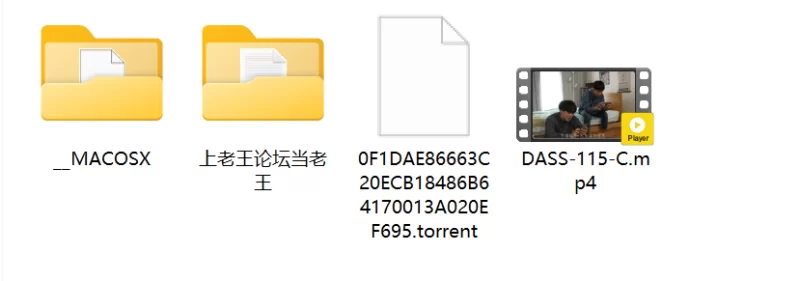 乱伦 抛开理性,无数次重复和母亲的造人SEX 武藤彩香 DASS-115【1v+5g】