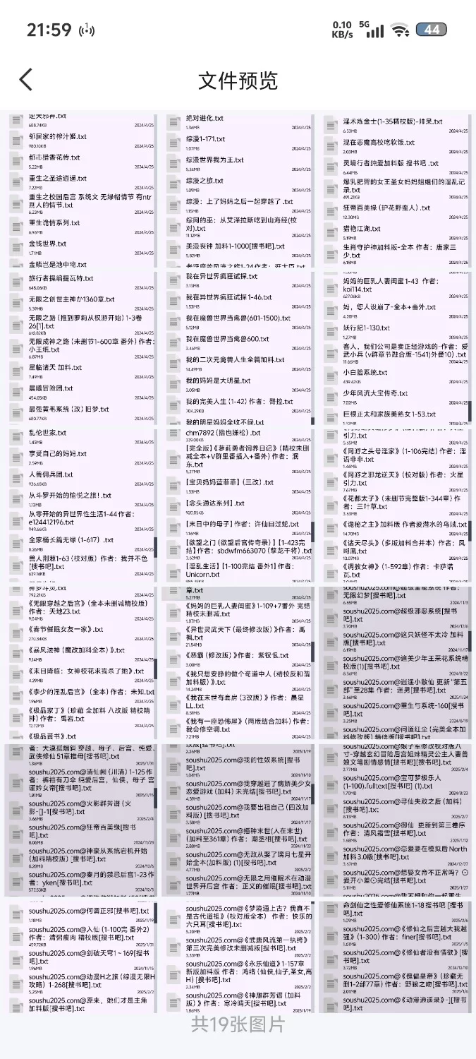 合集 大量小说合集，550m的合集【+550m】