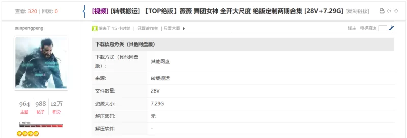 少妇熟女 薇薇 舞团女神 全开大尺度 绝版定制两期合集【28V+7.29G】