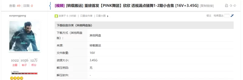 国产模特 [PINK舞团]欣欣 透视漏点骚舞1-2期小合集【16V+3.46G】