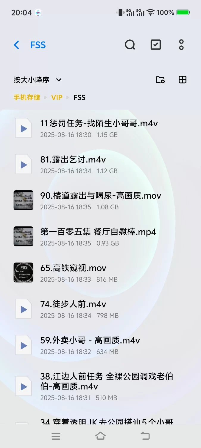 有剧情的 FSS听主人指令出门做任务，漏出给陌生人口交被操【12视频+7.53G】