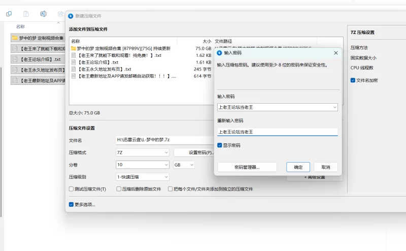 自拍 自购梦中的梦 定制视频合集【87P89V+75G】