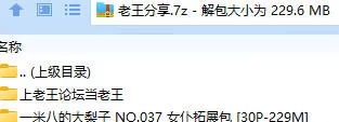 福利姬 一米八的大梨子 NO.037 女仆拓展包【30P+229M】