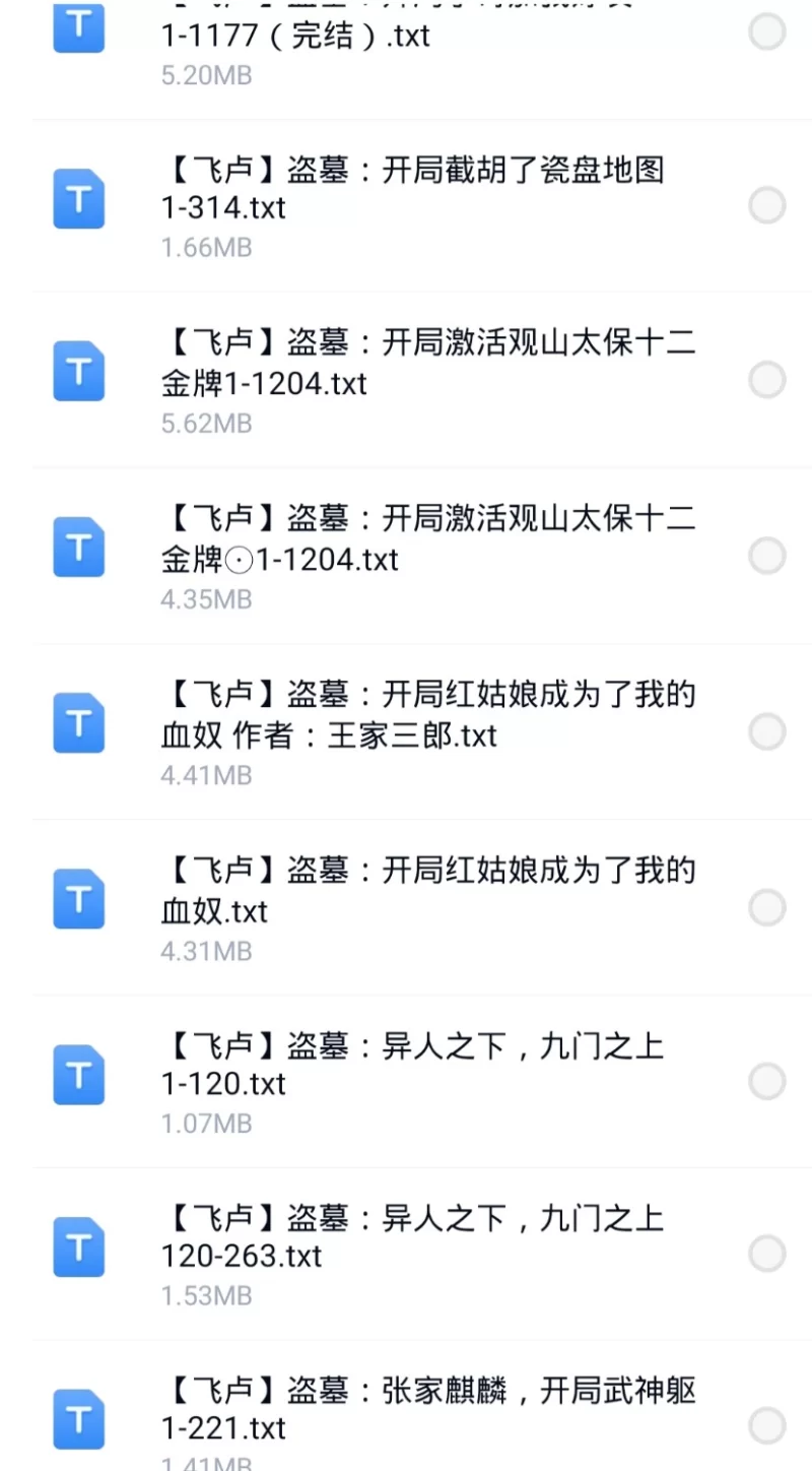 合集 8月1日200本飞户小说合集【+200M】