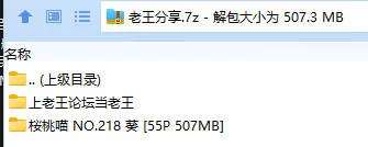 福利姬 桜桃喵 NO.218 葵【55P+507MB】